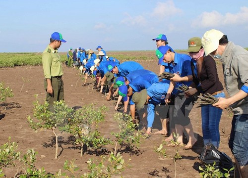 Vietnam fördert den neuen globalen gesetzlichen Rahmen über Klimaänderungen - ảnh 1