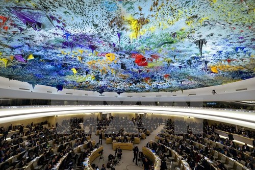 Vietnam unterstützt Dialoge zur Entfaltung der Rolle des UN-Menschenrechtsrats - ảnh 1