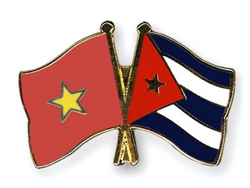 Besondere solidarische Beziehungen zwischen Vietnam und Kuba - ảnh 1