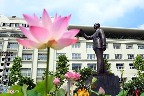 Ho Chi Minh-Statue auf Fußgängerplatz - ảnh 5