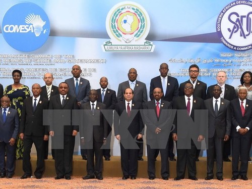 25 afrikanische Länder vereinbaren gemeinsame Freihandelszone - ảnh 1