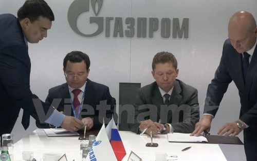 Zusammenarbeit zwischen PetroVietnam und russischen Gaskonzernen - ảnh 1