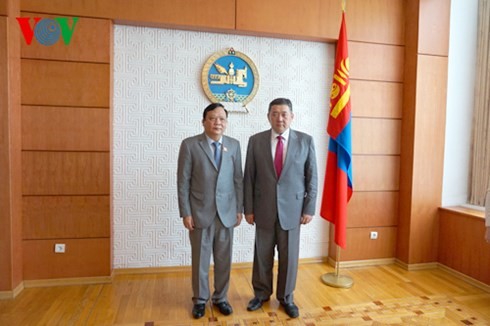 Verstärkung der Zusammenarbeit zwischen Parlamenten Vietnams und der Mongolei - ảnh 1