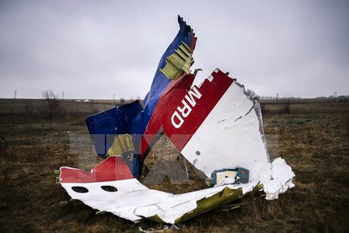 Niederlande veröffentlicht Untersuchungsergebnisse zum Abschuss von MH17 - ảnh 1