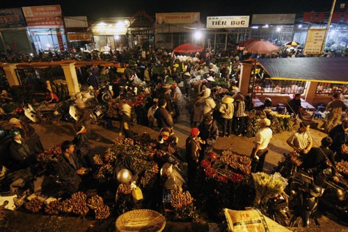 Blumengroßmarkt Quang Ba – Einzigartiger Markt der Hauptstadt - ảnh 1