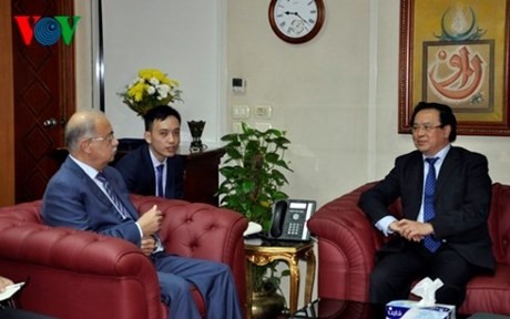 Der Leiter des Außenkomitees der KPV trifft den ägyptischen Premierminister - ảnh 1