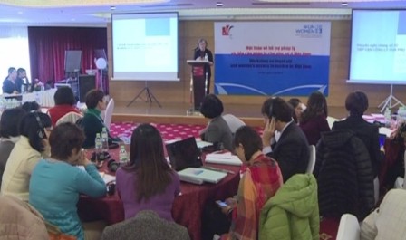 Rechtliche Annäherung für vietnamesische Frauen fördern - ảnh 1