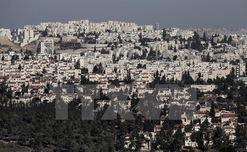 Palästina verurteilt die israelische Besatzung durch Siedlungsbau - ảnh 1