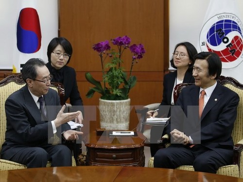 China fordert Südkorea zur Lösung der THAAD-Frage auf - ảnh 1