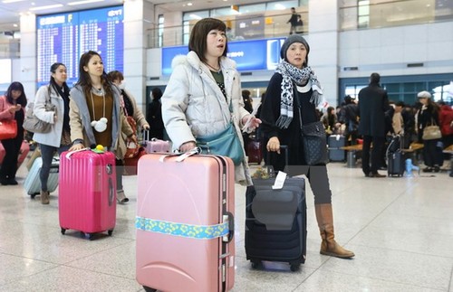 Vietnam gehört zu den fünf Ländern mit höchster Visumzahl für Einreise nach Japan - ảnh 1