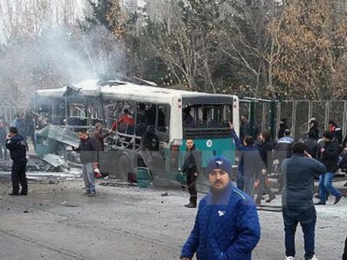 Autobombe in der Türkei: Sieben Verdächtige verhaftet - ảnh 1