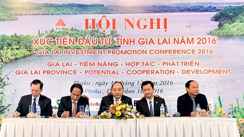 Aufforderung: Behörde der Provinz Gia Lai sollen Unternehmen begleiten - ảnh 1