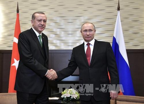Putin: Beziehungen mit der Türkei wiederherstellen - ảnh 1