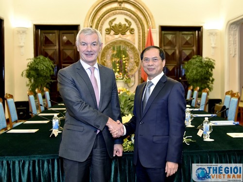 Politische Konsultation zwischen Vietnam und Belgien - ảnh 1