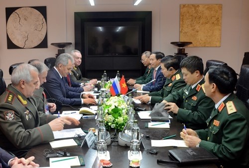 Verstärkung der Militärzusammenarbeit zwischen Vietnam und Russland - ảnh 1