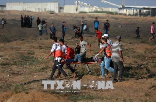189 Palästinenser bei Zusammenstößen mit Israels Soldaten im Gazastreifen verletzt - ảnh 1