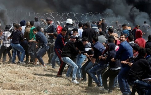 Eskalation der Spannungen im Gazastreifen  - ảnh 1