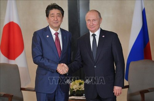 Russland und Japan streben Unterzeichnung des Friedensvertrags an - ảnh 1