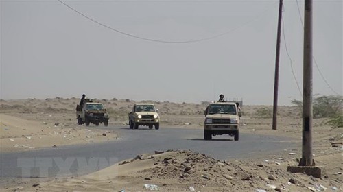 Konfliktsparteien im Jemen vereinbaren Waffenruhe für Hafenstadt Hodeidah - ảnh 1