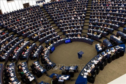 Europäisches Parlament will mit USA Verhandlungen über Zollreduzierung führen - ảnh 1