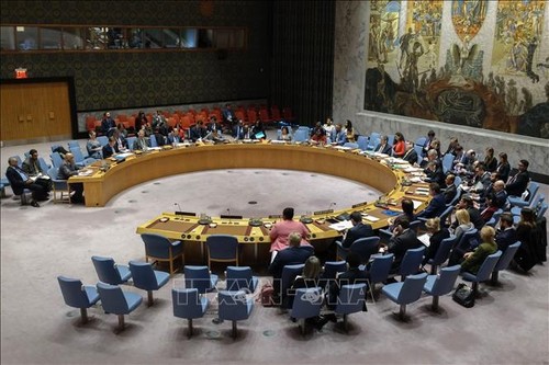 Dringlichkeitssitzung des UN-Sicherheitsrates über die Golanhöhen - ảnh 1