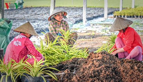 Partner für nachhaltige Landwirtschaftsentwicklung in Vietnam und öffentlich-privater Dialog  - ảnh 1