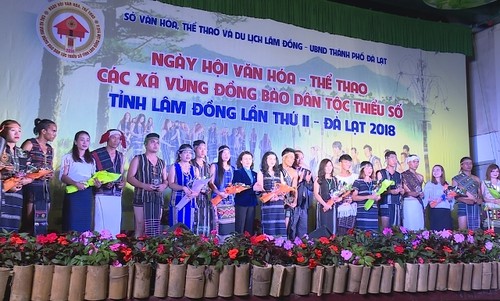 Bewahrung und Entfaltung der Kultur der verschiedenen Völker in Vietnam - ảnh 1