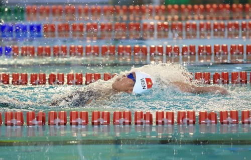 Vietnam nimmt an Schwimmweltmeisterschaften in Südkorea teil - ảnh 1