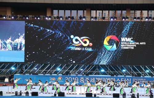 Vietnam nimmt an Kampfkunst-Weltmeisterschaft Chungju 2019 teil - ảnh 1