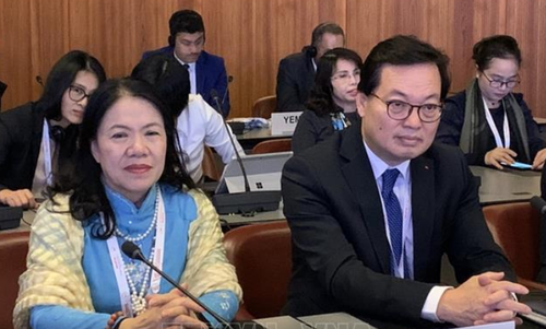 Vietnam nimmt an Internationaler Rotkreuz- und Rothalbmond-Konferenz in Genf teil - ảnh 1