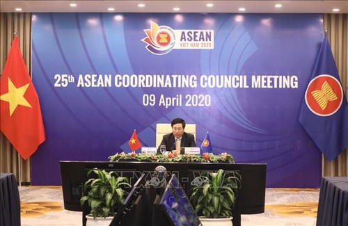Vizepremierminister Pham Binh Minh leitet Online-Sitzung des ASEAN-Koordinationsrates - ảnh 1