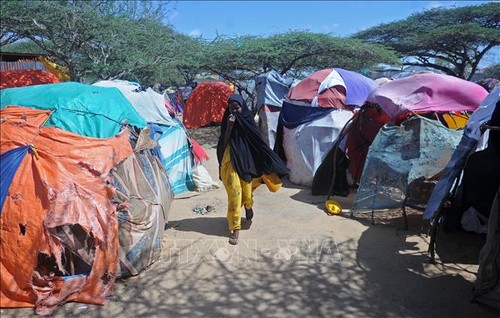 UNO ruft die Weltgemeinschaft zur Hilfe für Somalia auf - ảnh 1