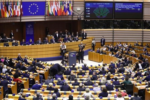 EP und EU-Länder erreichen Vereinbarung für Billigung des langfristigen Haushaltsgesetzes - ảnh 1