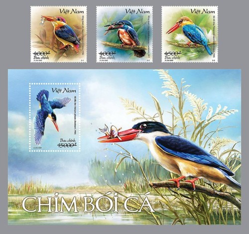 Veröffentlichung des Briefmarkensets zum Schutz der Eisvögel - ảnh 1
