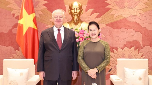 Parlamentspräsidentin Nguyen Thi Kim Ngan empfängt den russischen Botschafter - ảnh 1