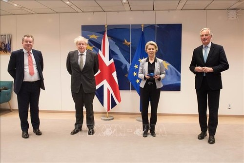 EU veröffentlicht Notfallplan im Fall eines No-Deal-Brexits  - ảnh 1