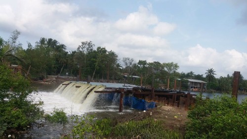 Regionale Verbindung im Mekong-Delta bei der Anpassung an den Klimawandel - ảnh 1