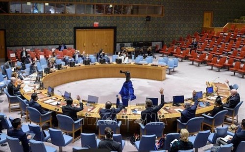 UN-Sicherheitsrat billigt Pressemitteilung über die Lage im Südsudan - ảnh 1