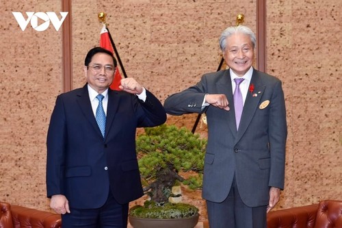 Verstärkung der Zusammenarbeit zwischen Provinzen Vietnams und der japanischen Präfektur Tochigi - ảnh 1