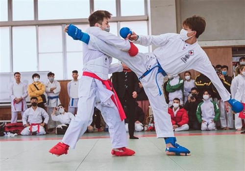 Karate-Turnier der in Japan lebenden Vietnamesen - ảnh 1