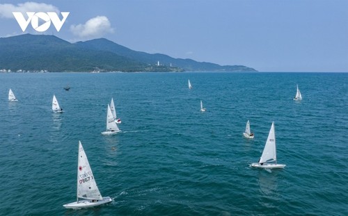 Weiße Segel auf dem Meer in Da Nang - ảnh 16