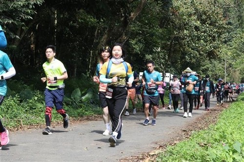 Fast 2.500 Menschen nehmen an Laufturnier „Cuc Phuong Jungle Paths 2022“ teil - ảnh 1