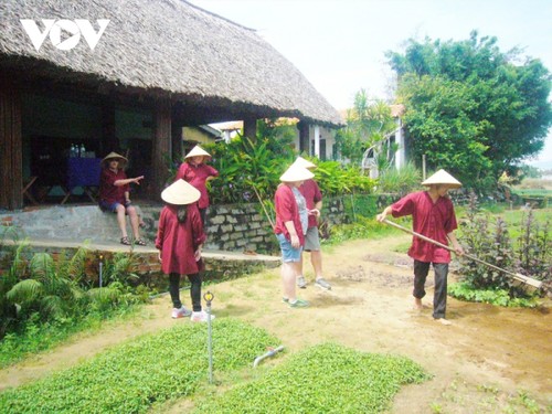 Gemüseanbau im Dorf Tra Que in Hoi An als nationales immaterielles Kulturerbe anerkannt - ảnh 1