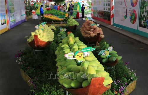Eröffnung des Cao Lanh-Mangofestivals 2022 - ảnh 1
