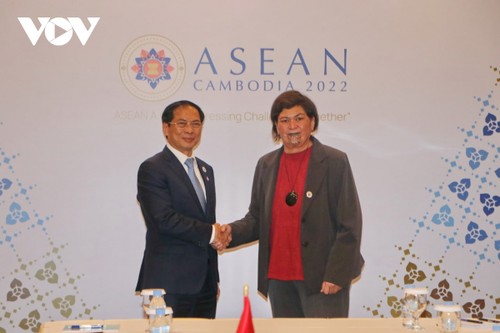 Außenminister Bui Thanh Son führt separate Gespräche mit Außenministern von ASEAN-Ländern - ảnh 1