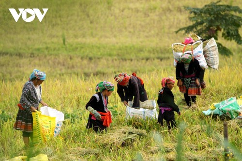 Vietnam bevorzugt Wirtschaftswachstum in Verbindung mit Sorge für ethnische Minderheiten und arme Menschen - ảnh 1