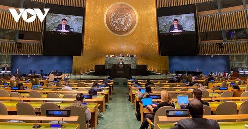 Vietnam betrachtet Reform des UN-Sicherheitsrates als dringende Frage - ảnh 1