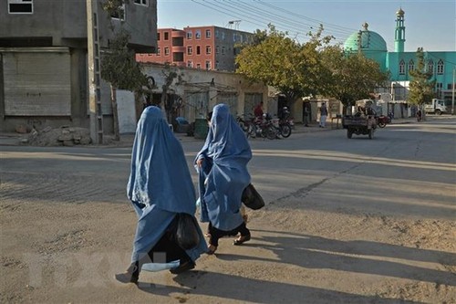 UNO zeigt sich besorgt über das von den Taliban verhängten Arbeitsverbot für Frauen - ảnh 1