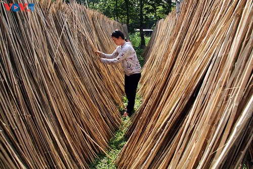 Bambusflechten in der Umgebung von Ho-Chi-Minh-Stadt - ảnh 3