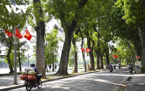 Zum Nationalfeiertag werden Straßen in Hanoi bunt dekoriert - ảnh 4